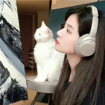 我不是惯老板